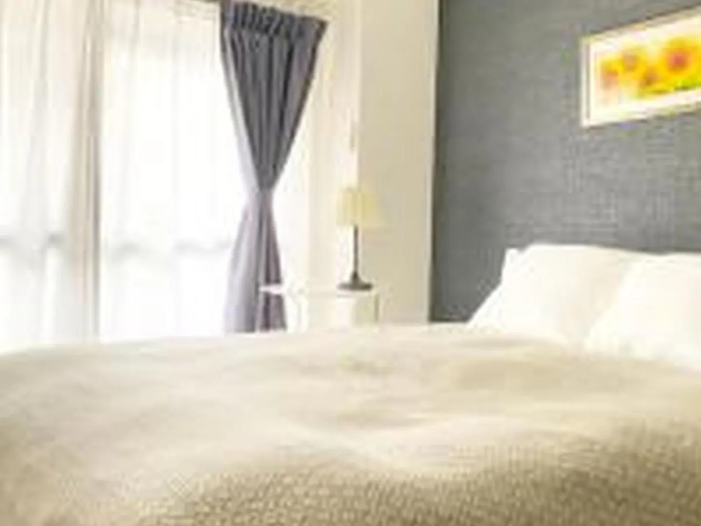 アルザーテ上町401 Apartment Osaka Japan