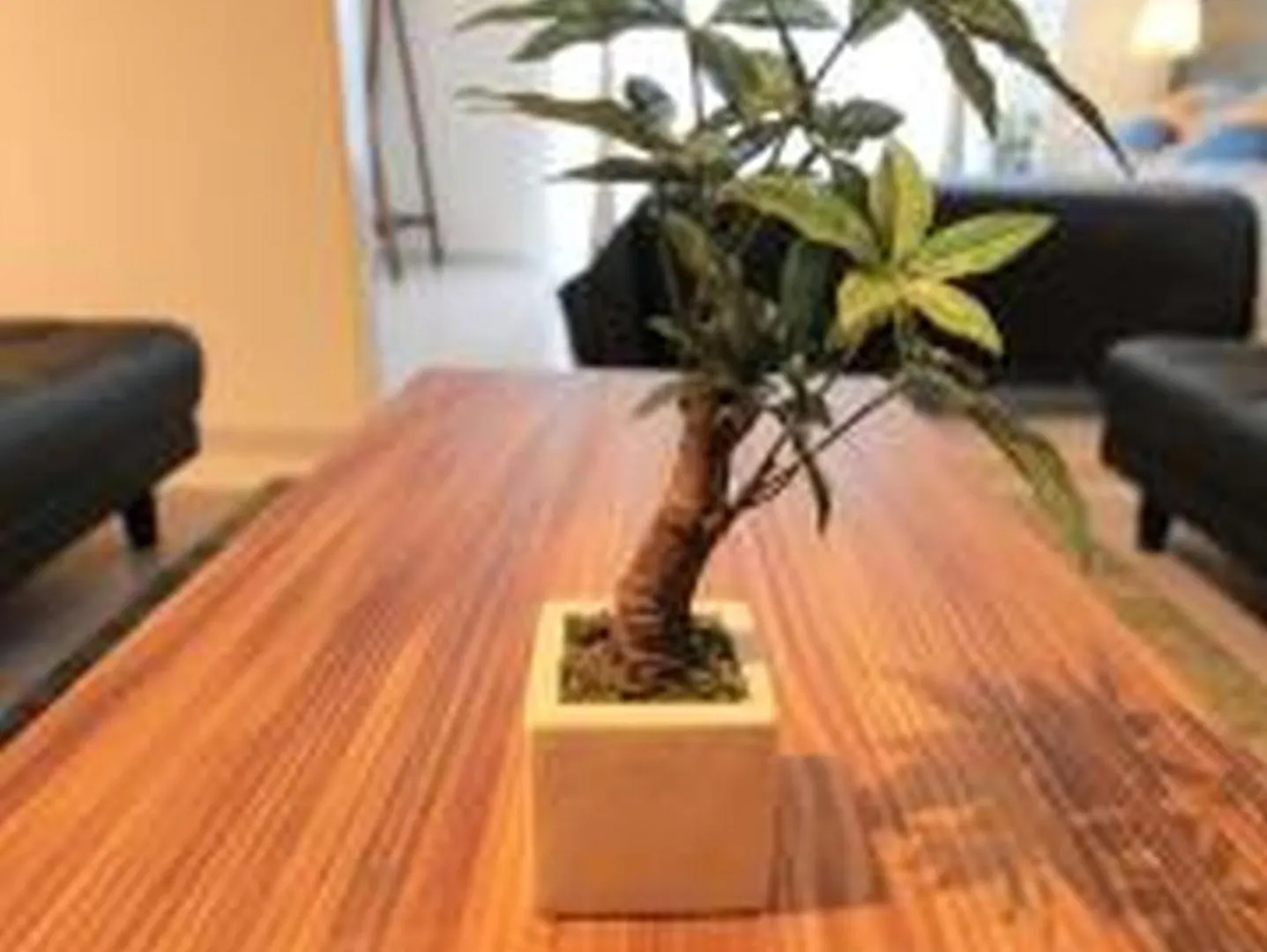 アルザーテ上町401 Apartment Osaka